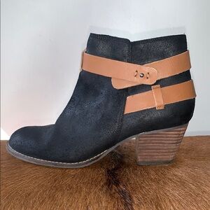 Dolce Vita Black and Tan Ankle Booties with Suede Finish